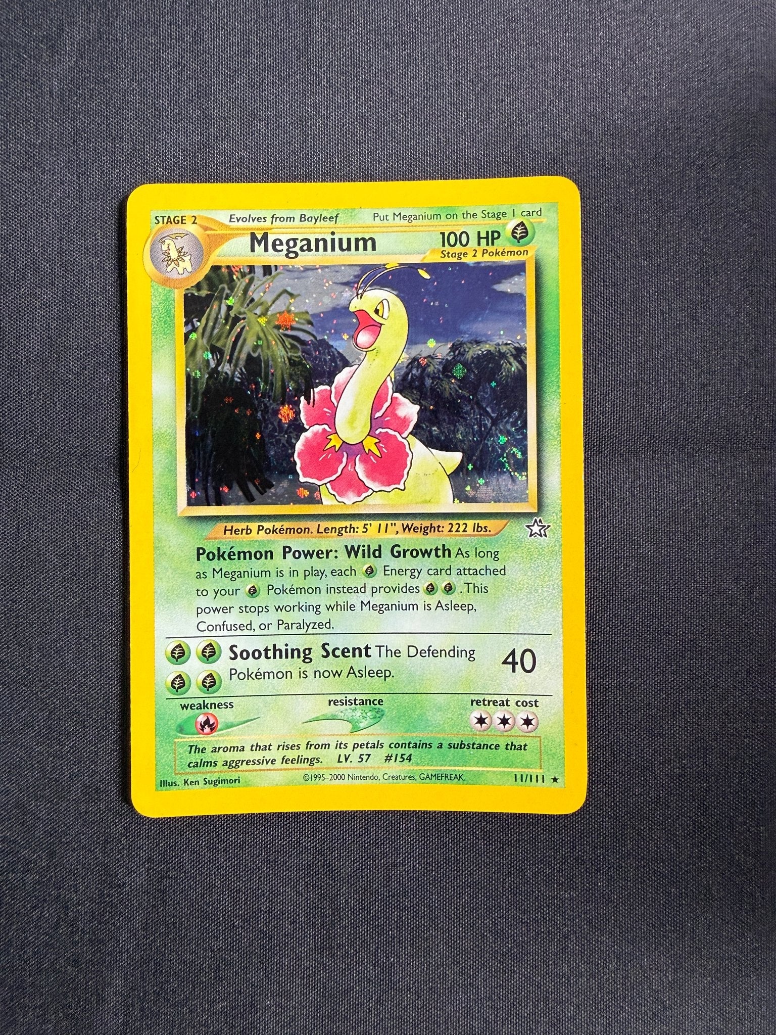 2000 Meganium Neo Genesis Holo 11/111 front