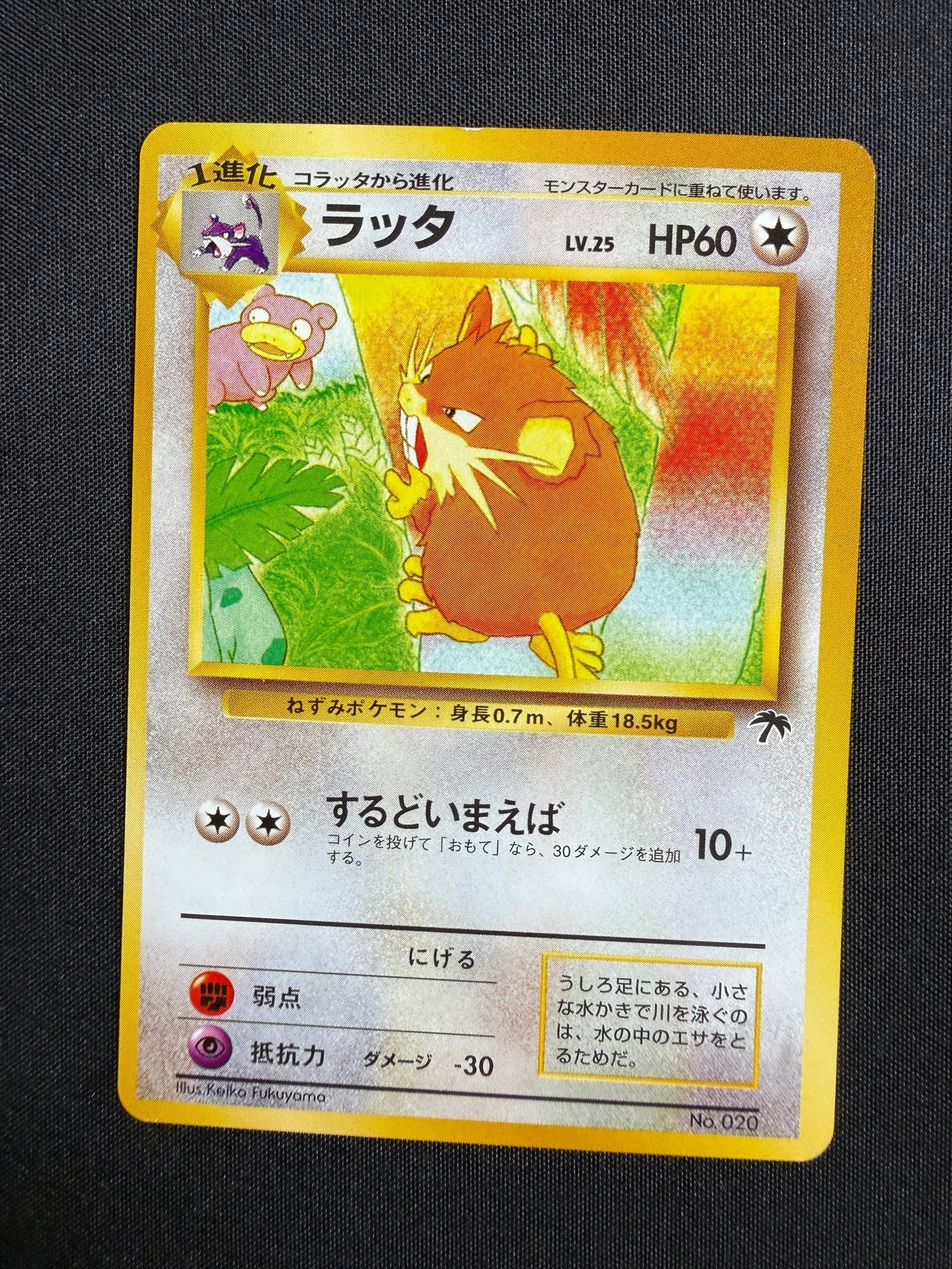 2001 Raticate Japanese Southern Islands No. 020 front