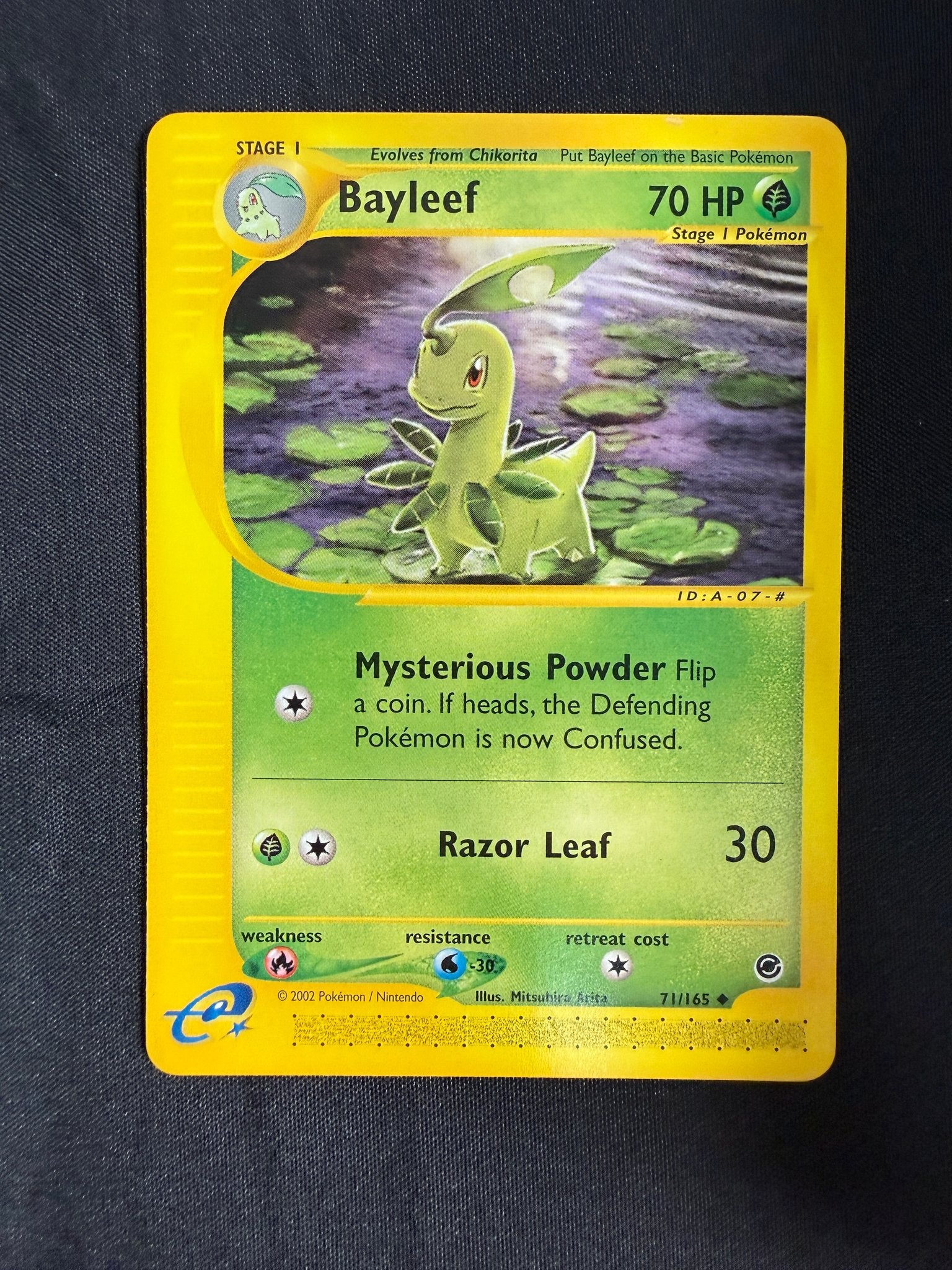 2002 Bayleef Expedition 71/165 front