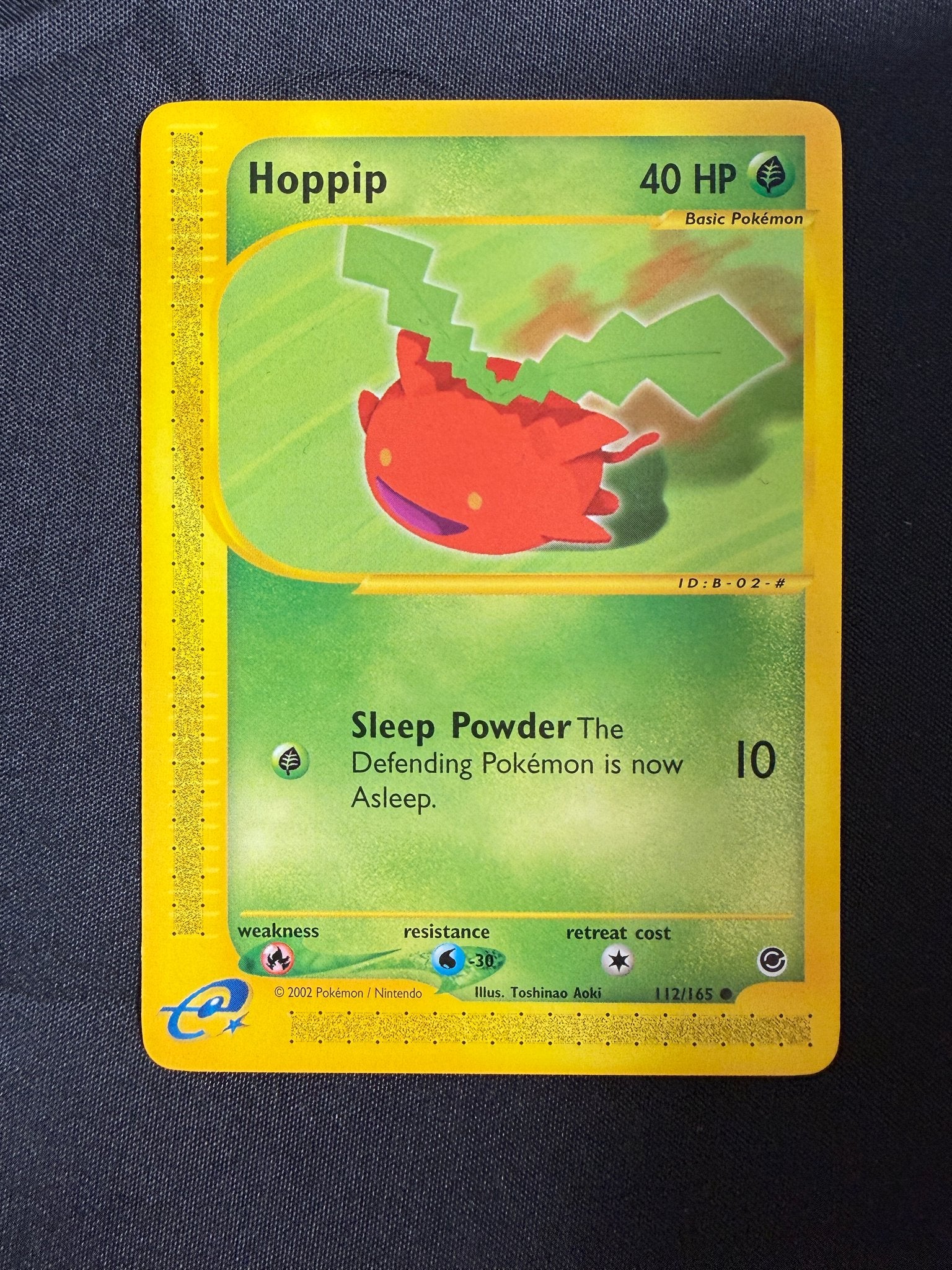 2002 Hoppip Expedition 112/165 front