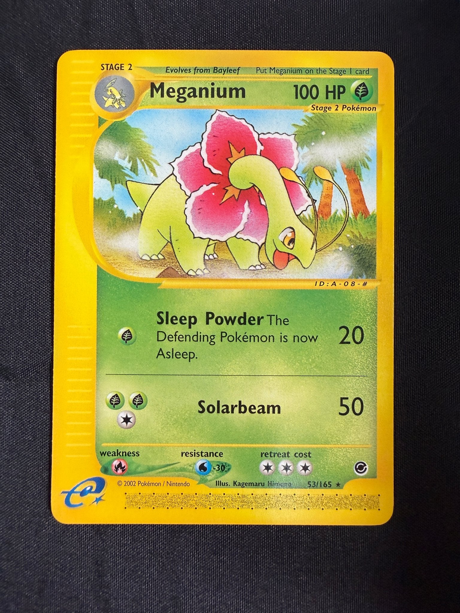 2002 Meganium Expedition 53/165 front