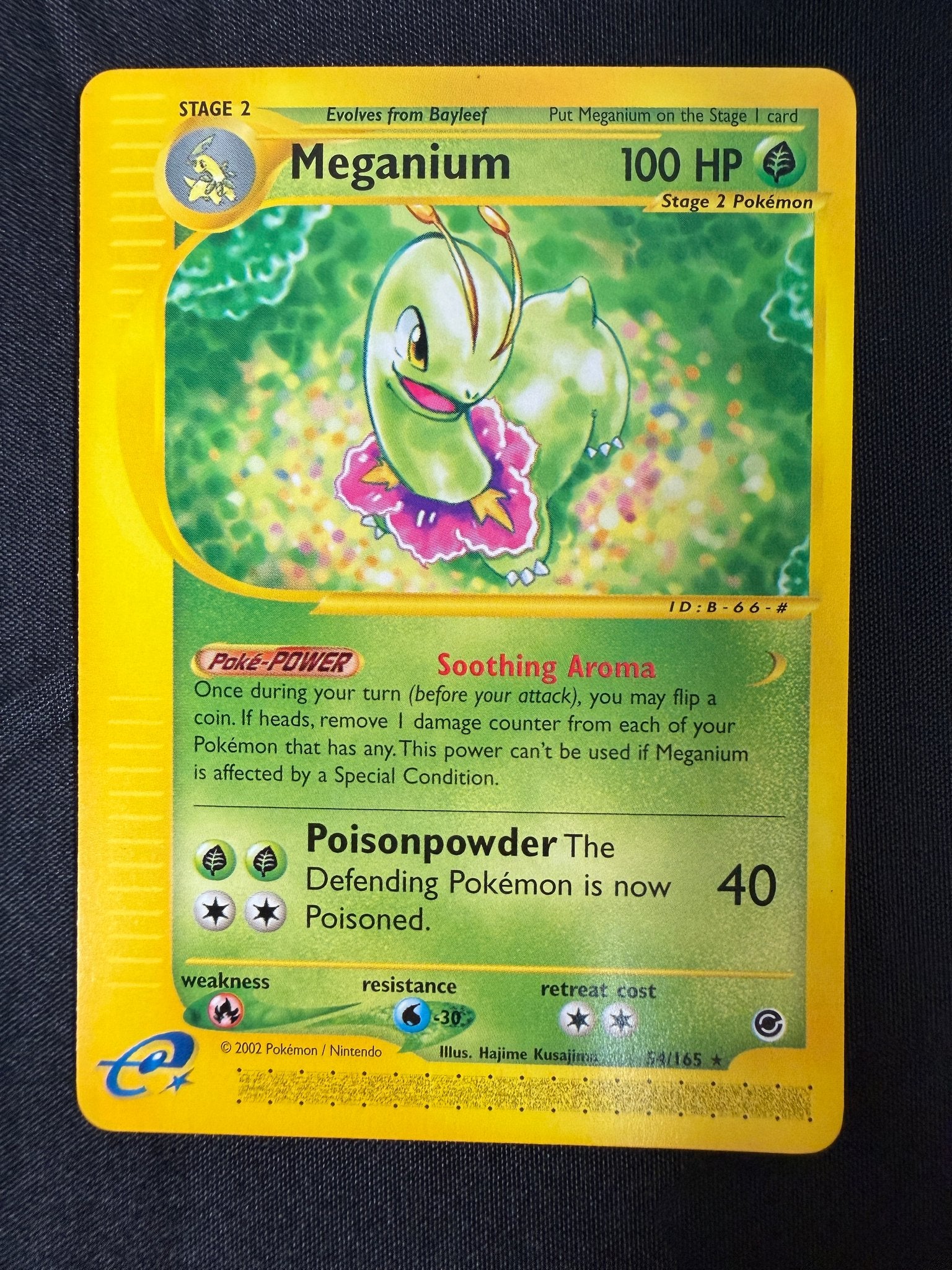 2002 Meganium Expedition 54/165 front