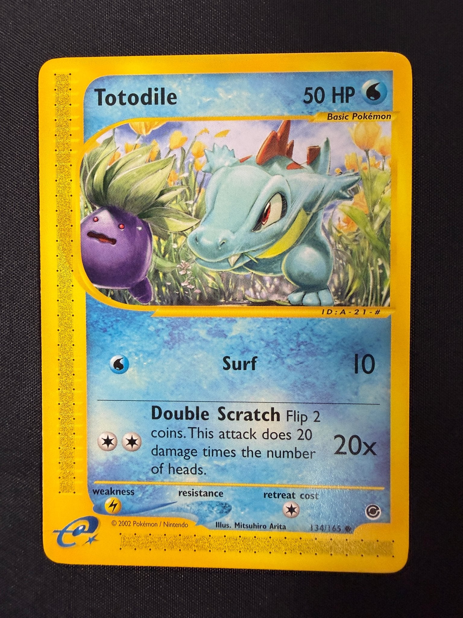 2002 Totodile Expedition 134/165 front