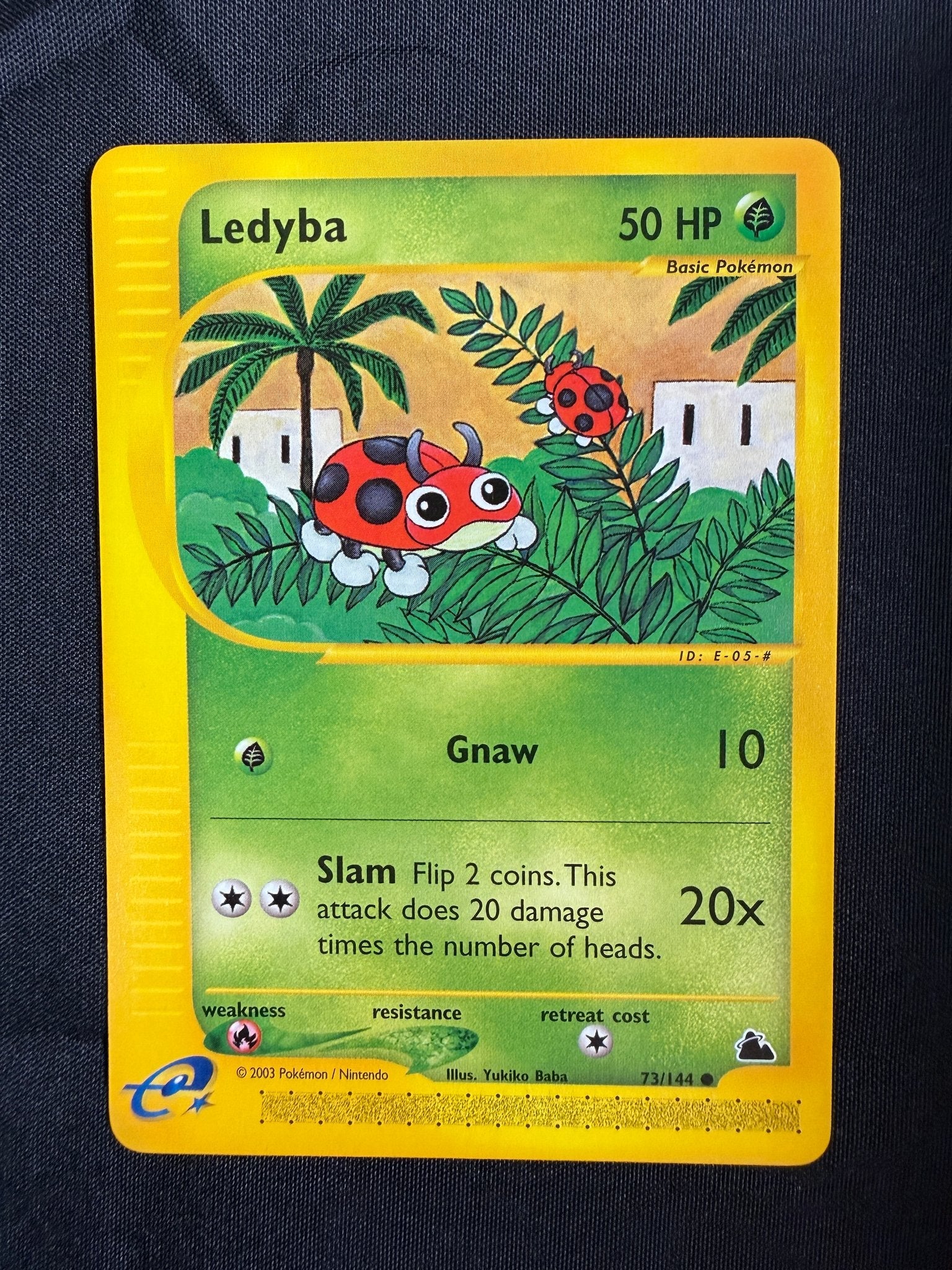 2003 Ledyba Skyridge 73/144 front