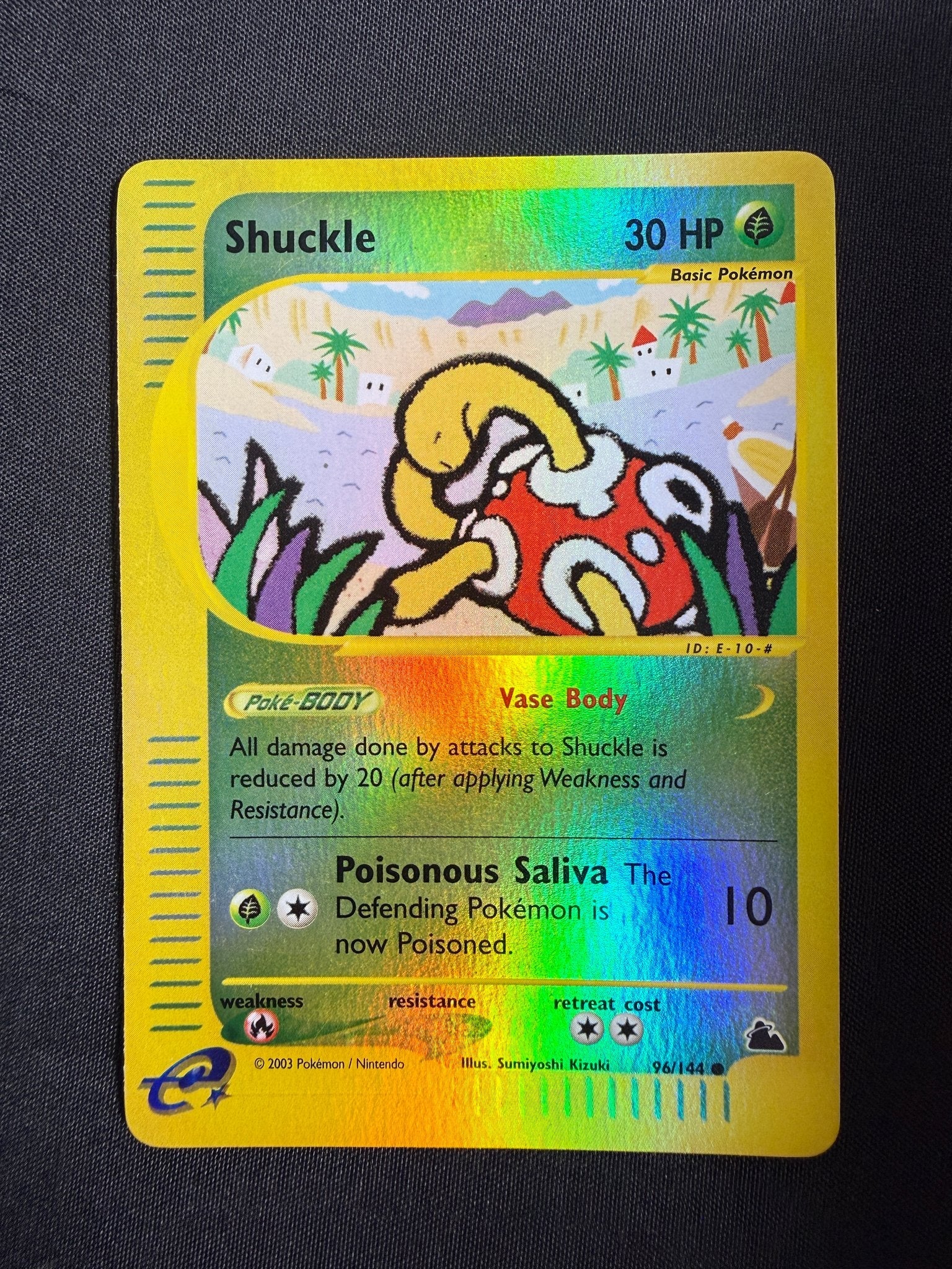 2003 Shuckle Skyridge Reverse Holo 96/144 front