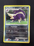 2007 Skuntank Diamond & Pearl Holo 15/130 front