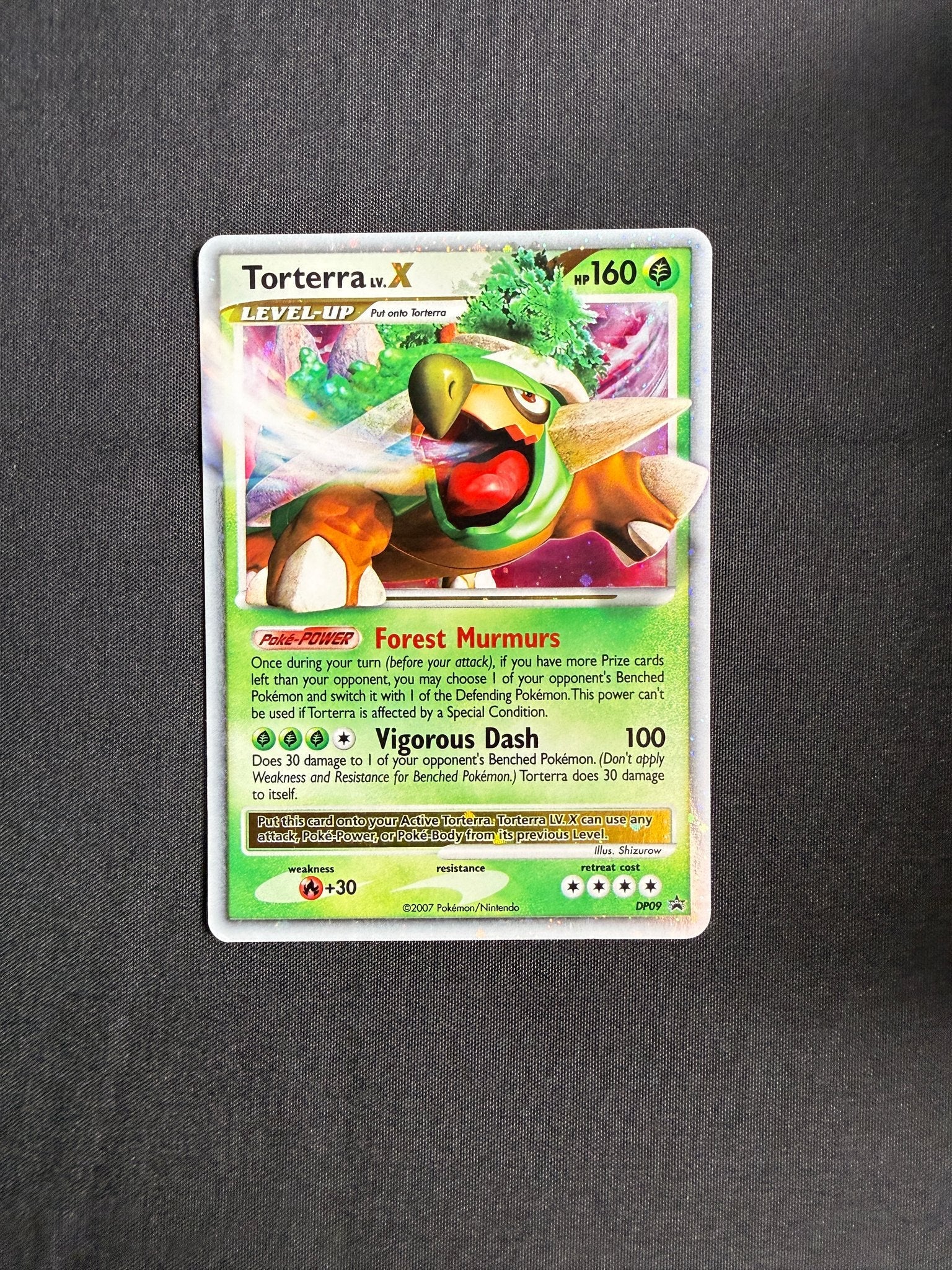 2007 Torterra LV.X DP Black Star Promo Holo DP09 front