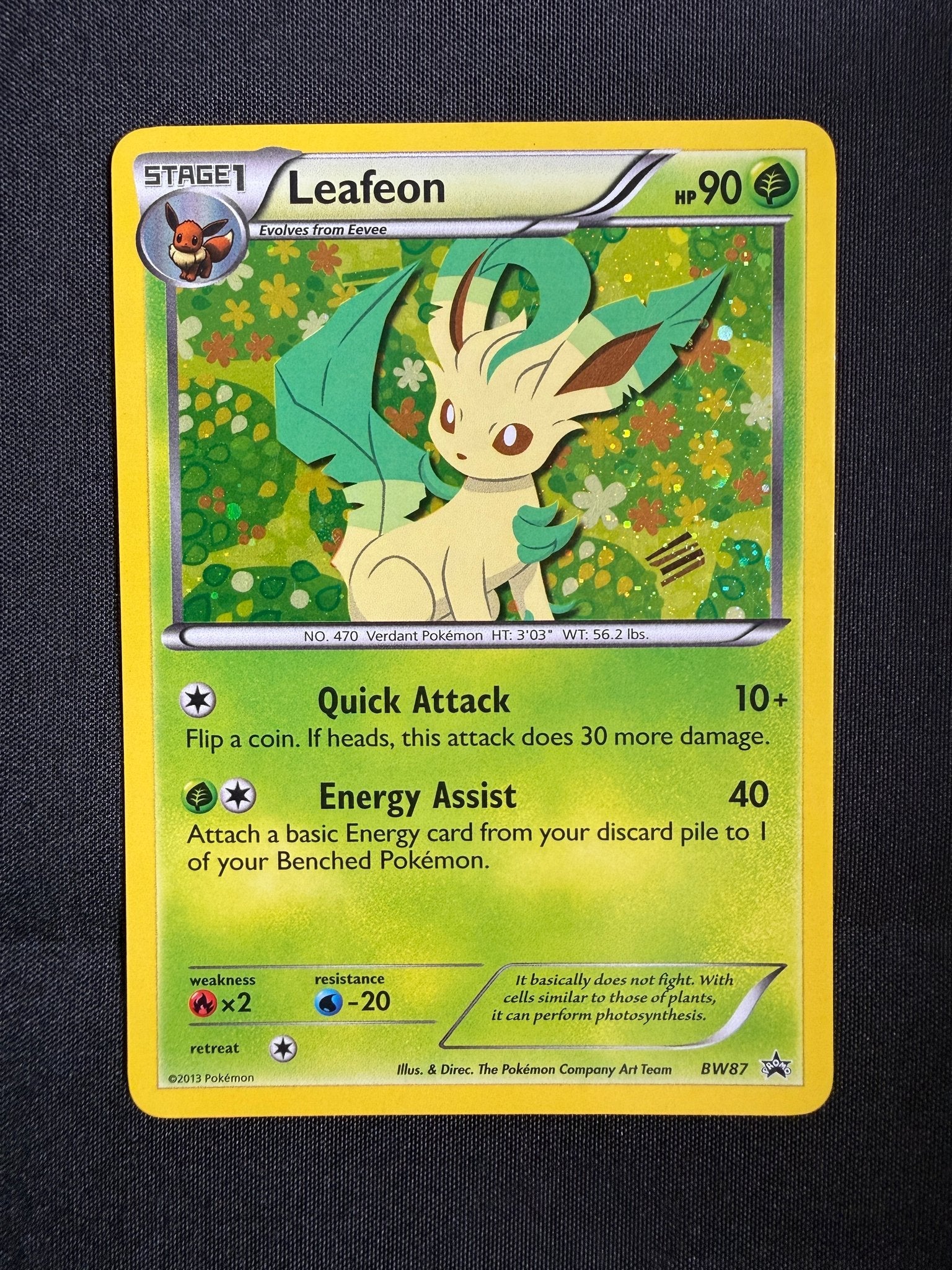 2013 Leafeon BW Black Star Promo Holo BW87 front