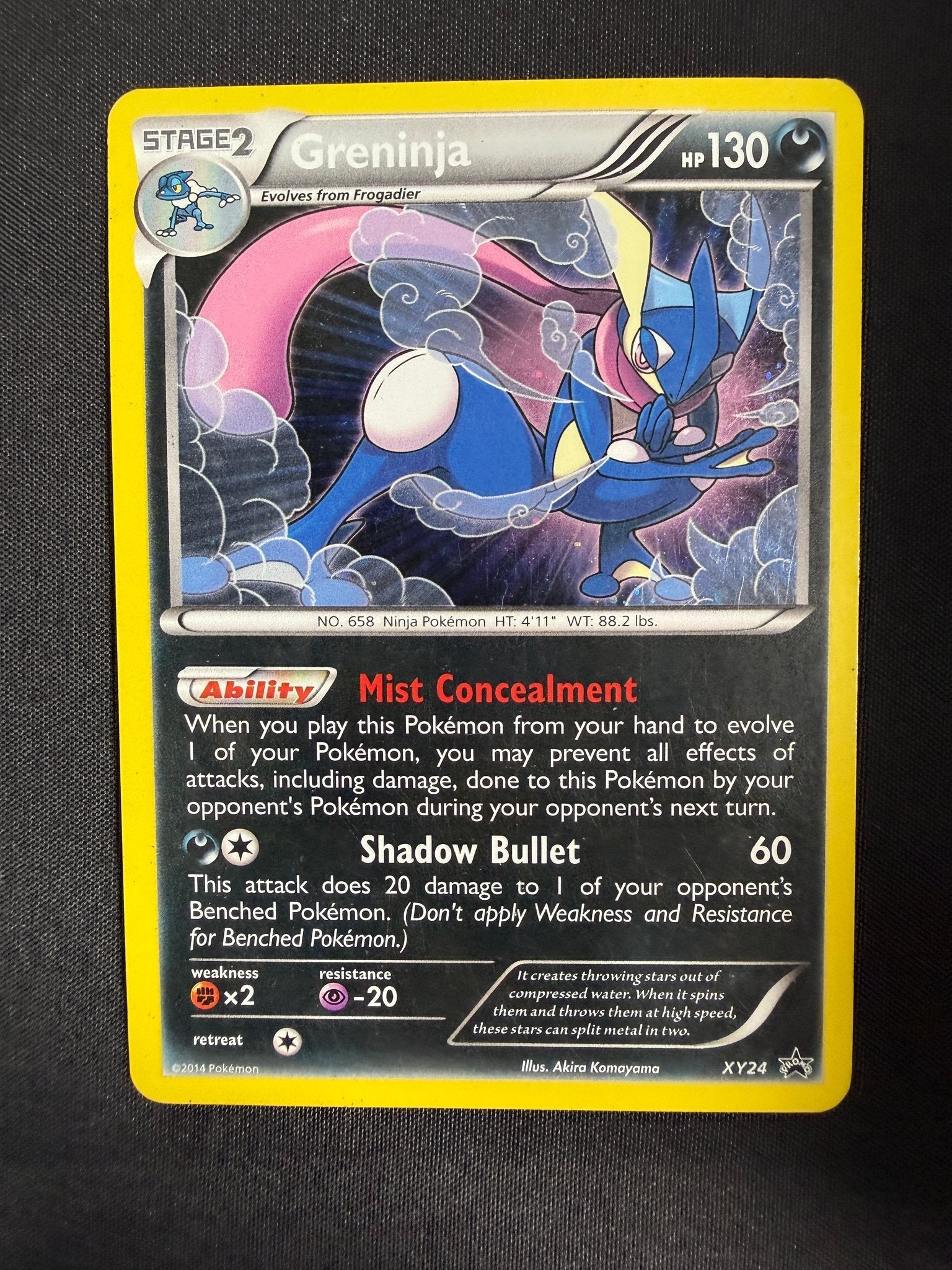2014 Greninja XY Black Star Promo Holo XY24 front