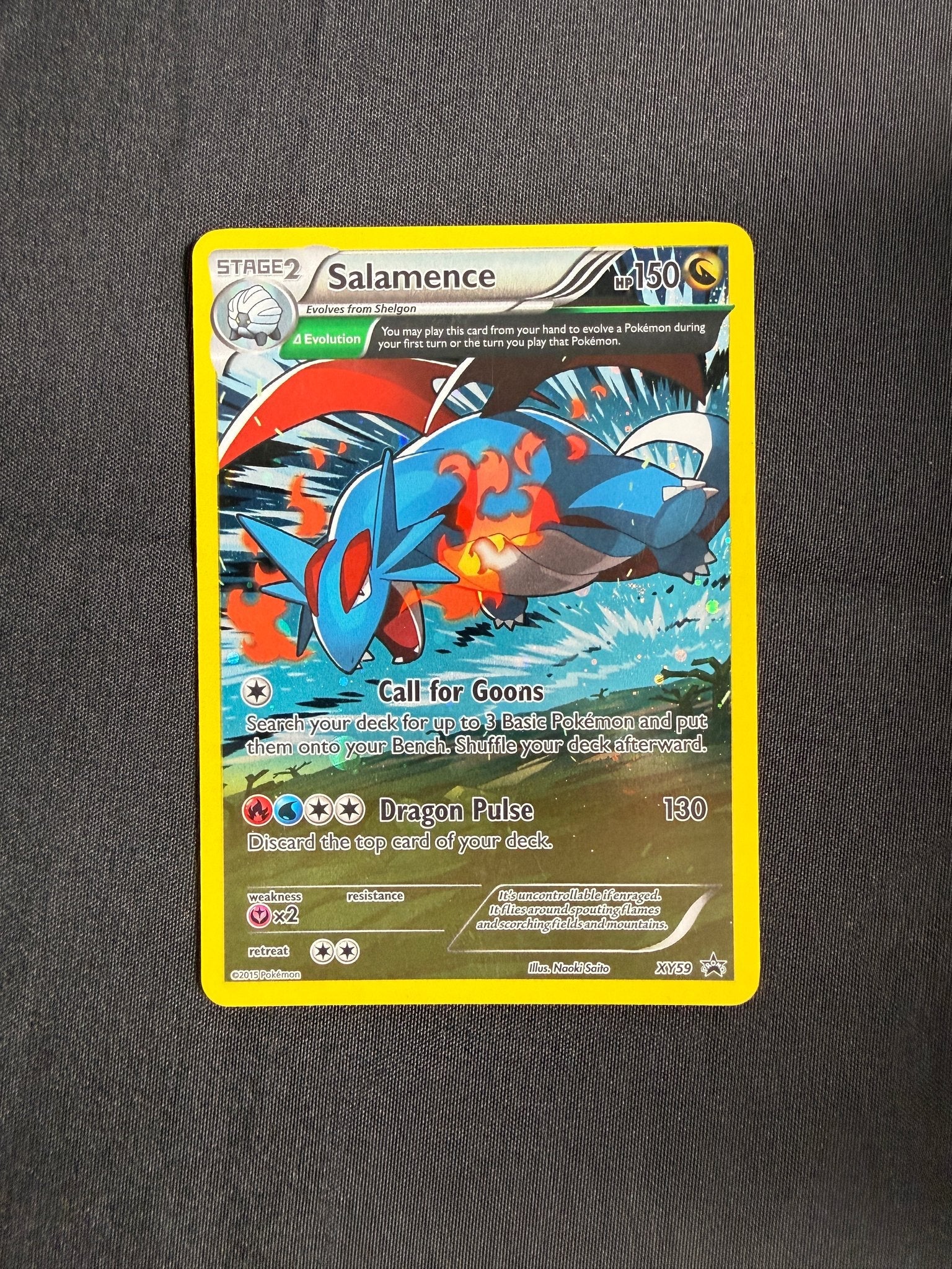 2015 Salamence XY Black Star Promo Holo XY59 front